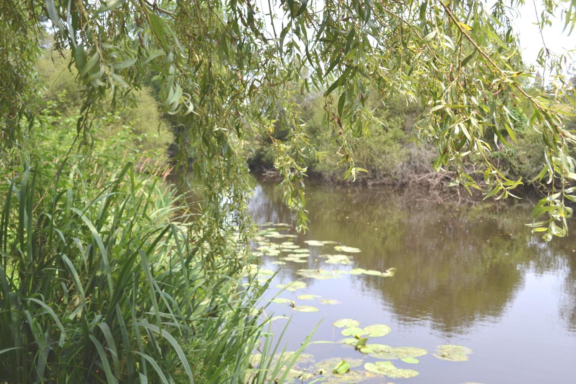 Les Bruyeres Gite Montbron Buitenkant foto